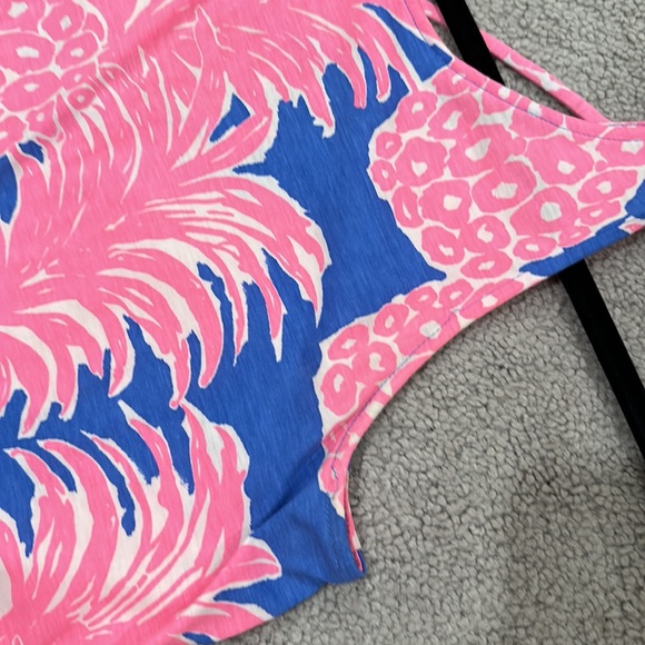 Lilly Pulitzer Kristen Swing Dress in Blue Heaven Little Flamenco in Sz Small - Picture 9 of 9